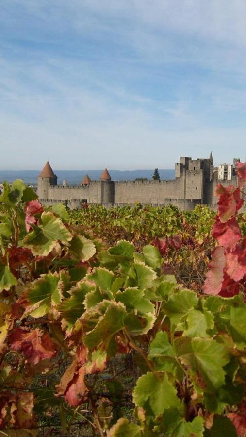 Chez Tatie Menie Bed & Breakfast Fraissé-des-Corbières Екстериор снимка